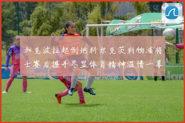 加克波拉起倒地科尔克茨利物浦将士赛后握手尽显体育精神温情一幕